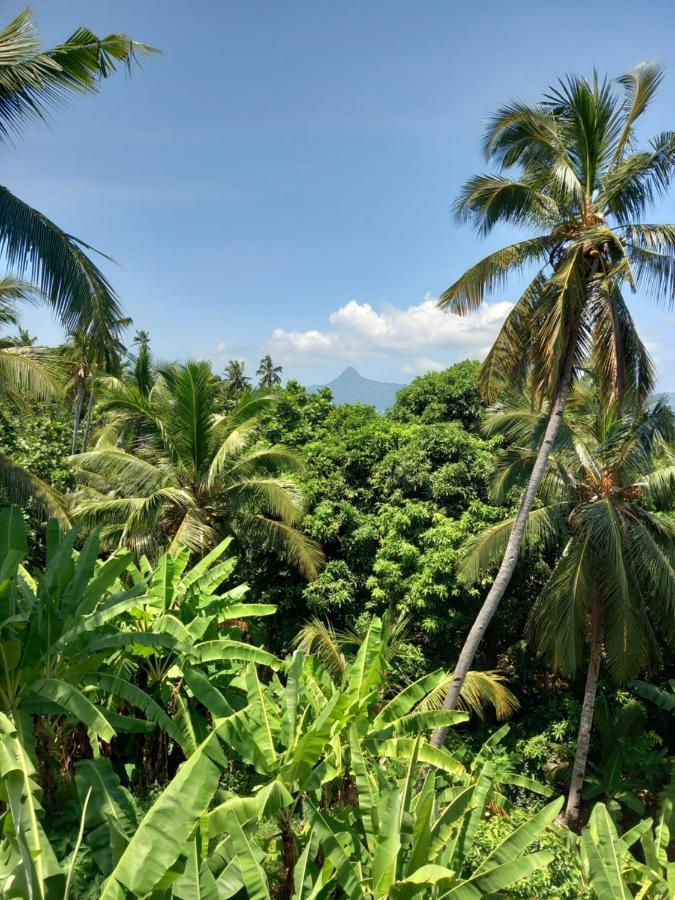 Hotel Le Chissioua Sada Pokoj fotografie